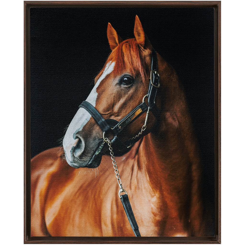 Justify Series 1, Framed Canvas