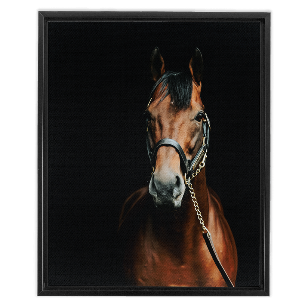 American Pharoah Series 4, Framed Canvas