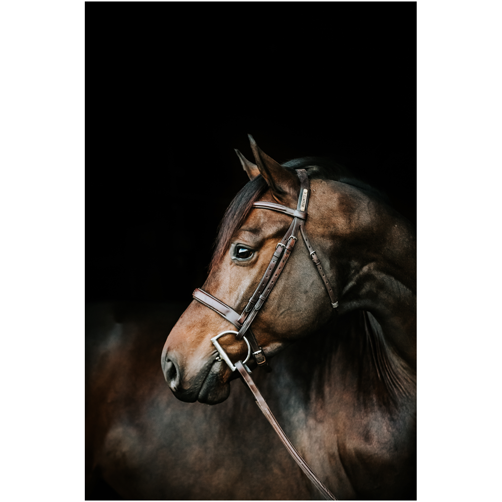 Jovial Series 3, Print