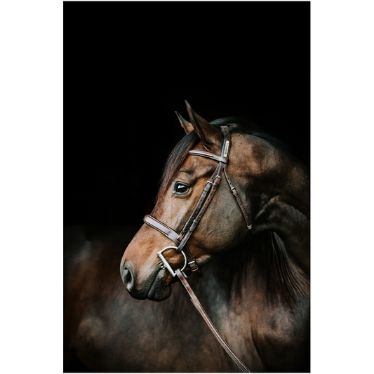 Jovial Series 3, Print