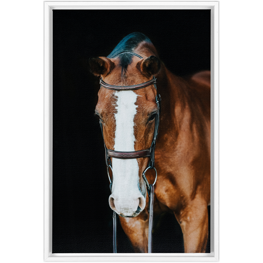 Huntsman Series 6, Framed Canvas