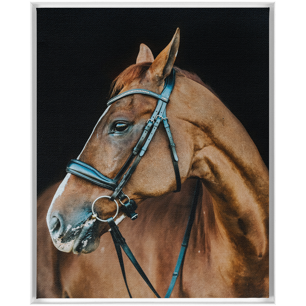 Hudson Series 6, Framed Canvas