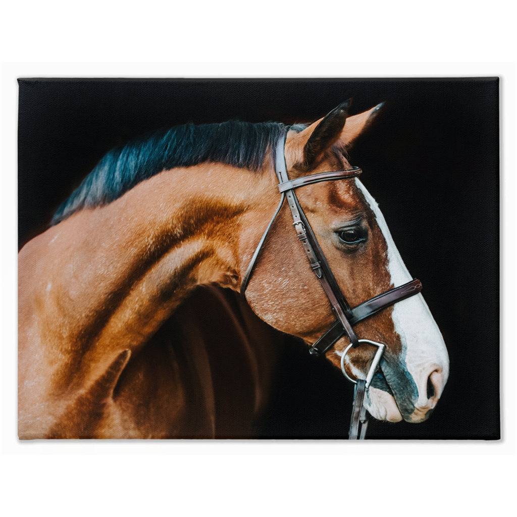 Huntsman Series 3, Canvas