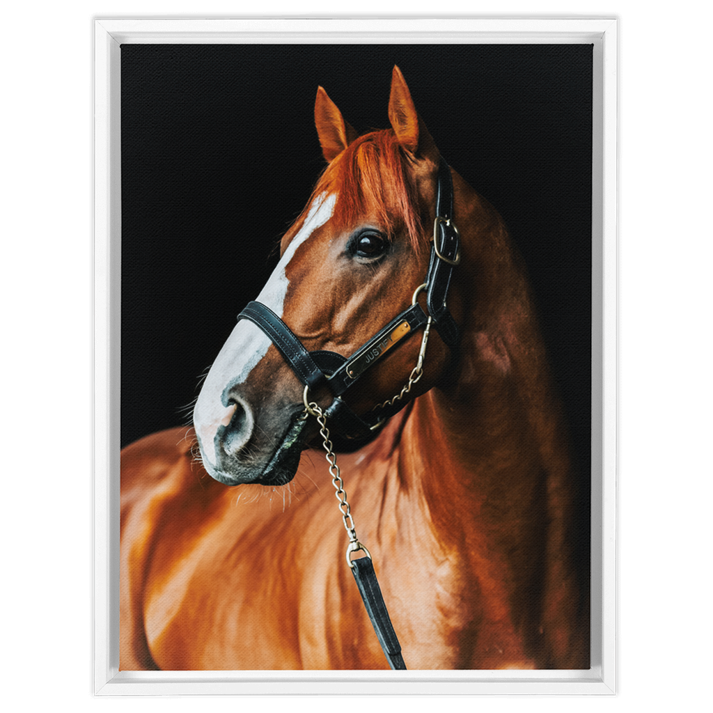 Justify Series 1, Framed Canvas