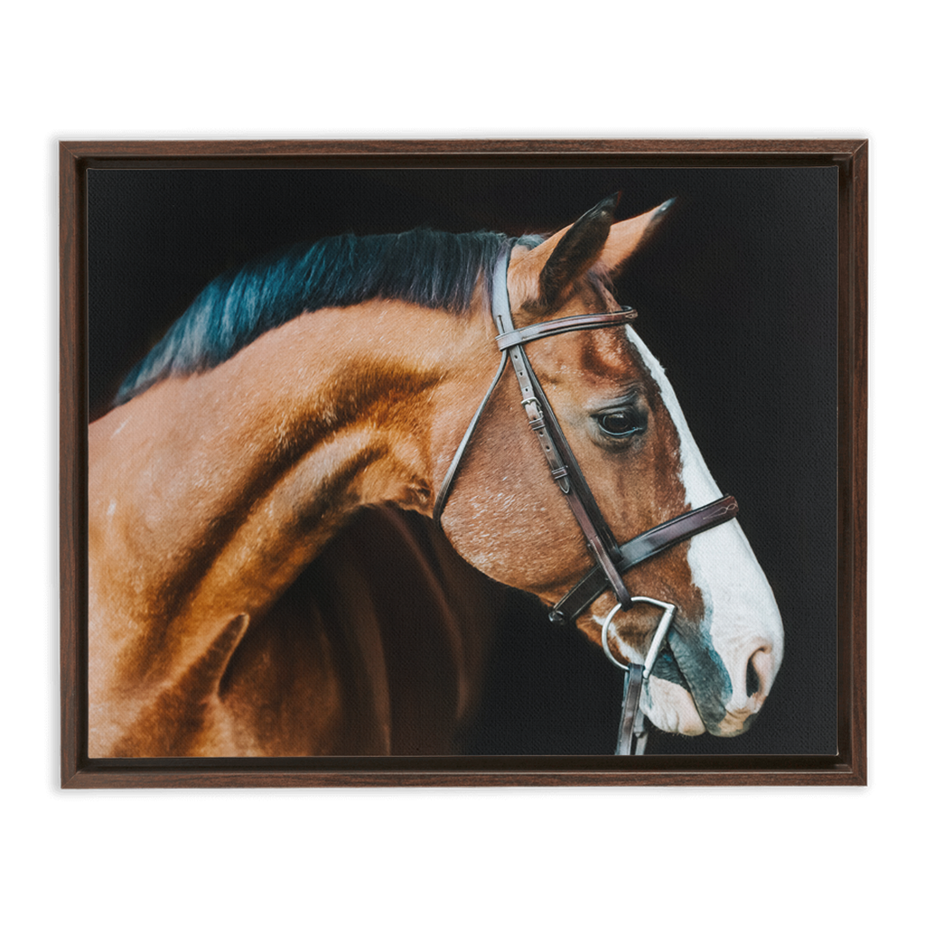 Huntsman Series 3, Framed Canvas
