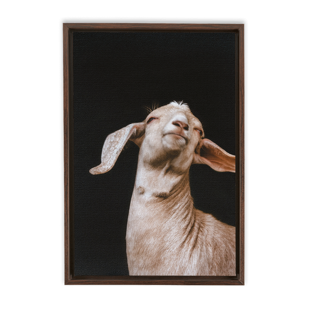 Happy Goat Series 1, Framed Canvas