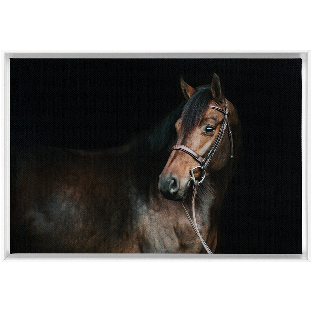 Jovial Series 2, Framed Canvas