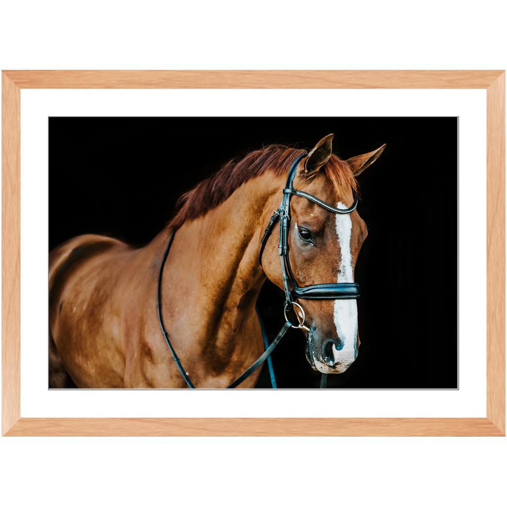 Hudson Series 1, Framed Print
