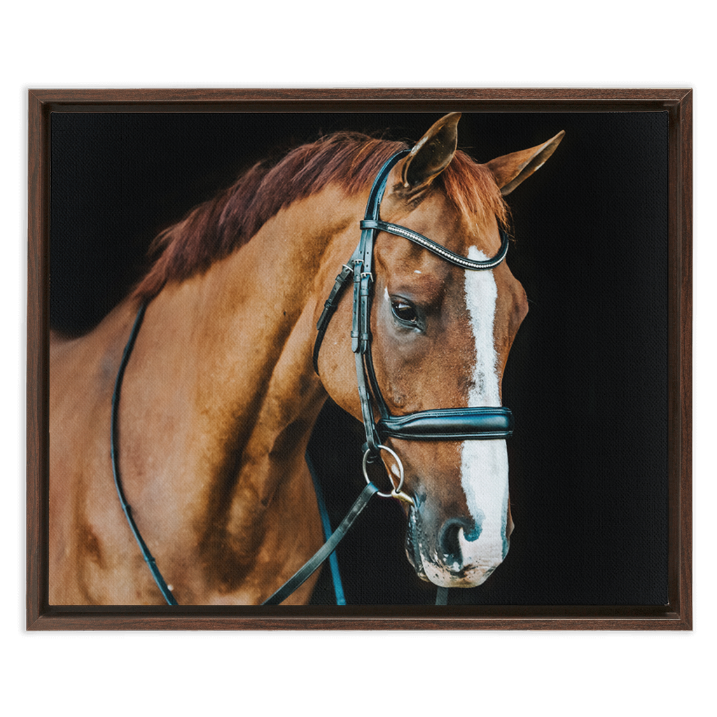 Hudson Series 1, Framed Canvas