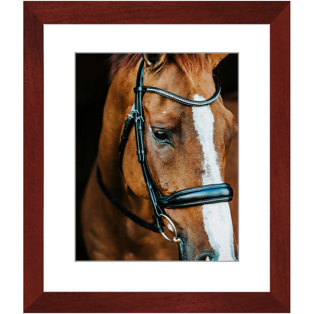 Hudson Series 3, Framed Print