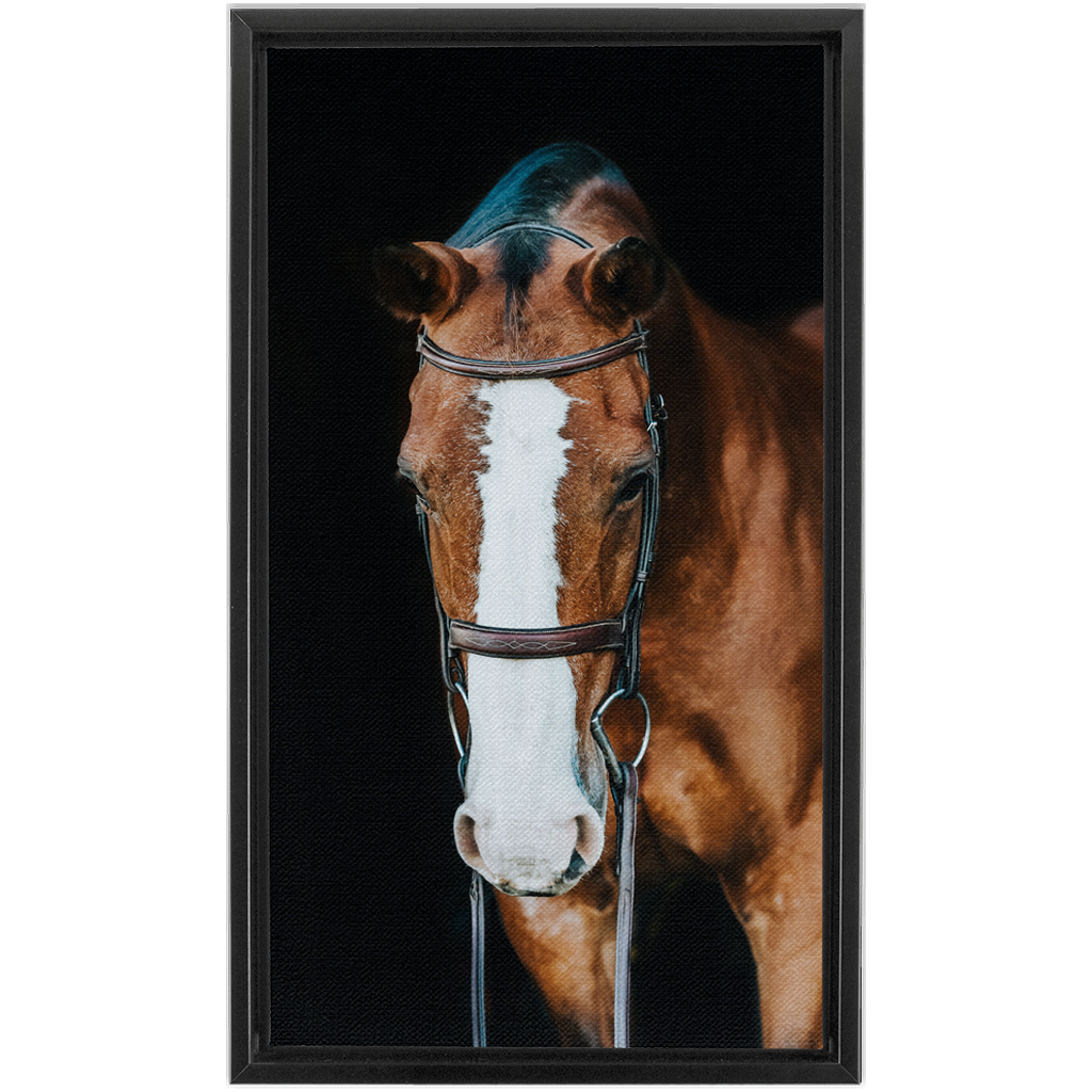 Huntsman Series 6, Framed Canvas