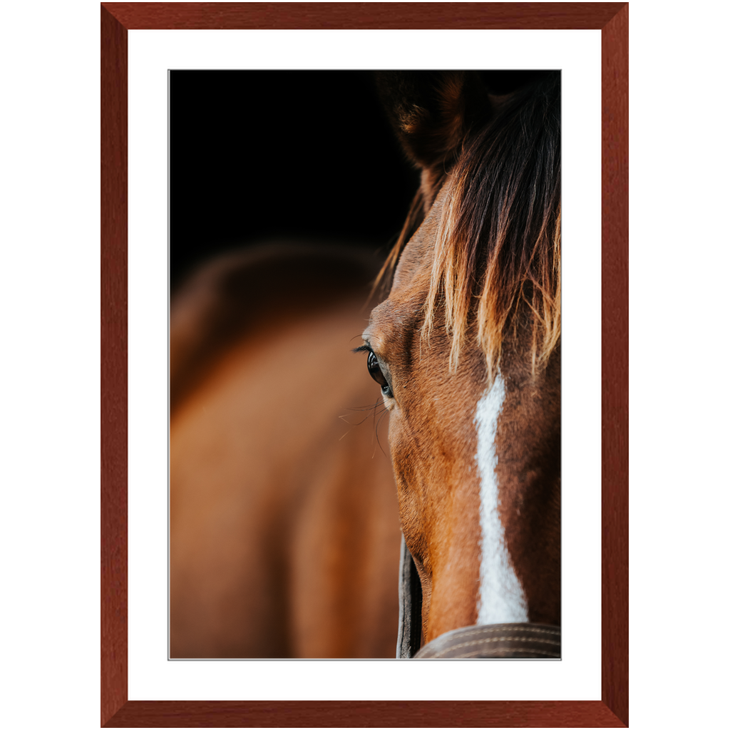 Majestic Series 1, Framed Print
