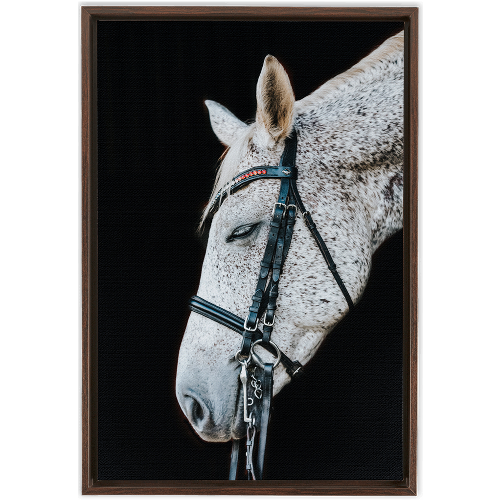 Apollo Series 1, Framed Canvas