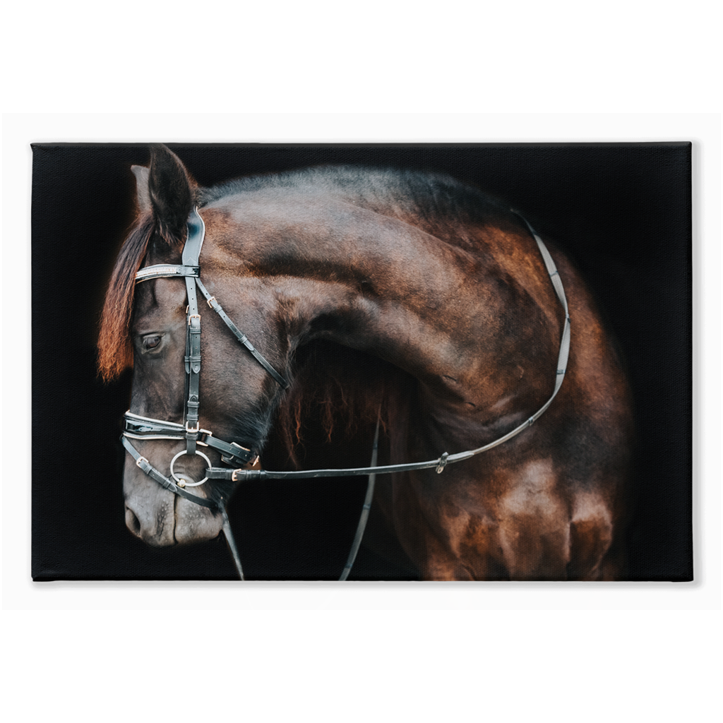 Regal Series 1, Stretched Canvas