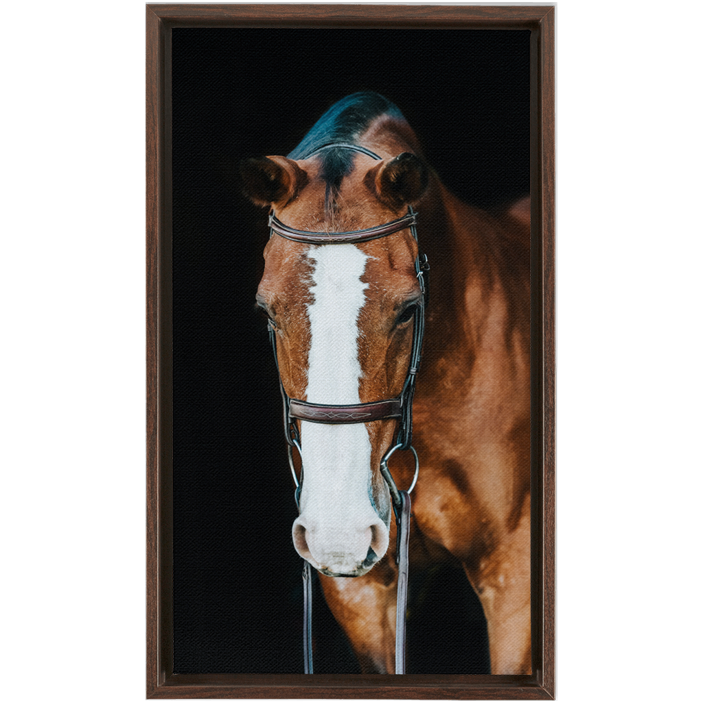 Huntsman Series 6, Framed Canvas