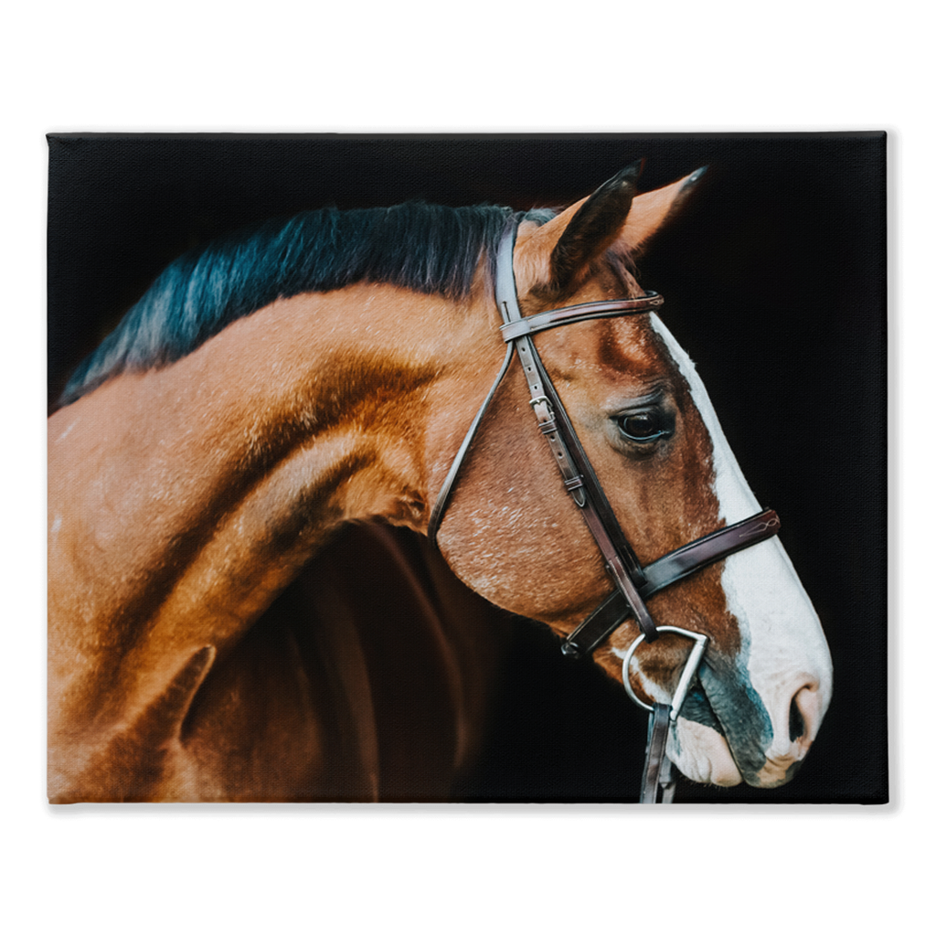 Huntsman Series 3, Canvas