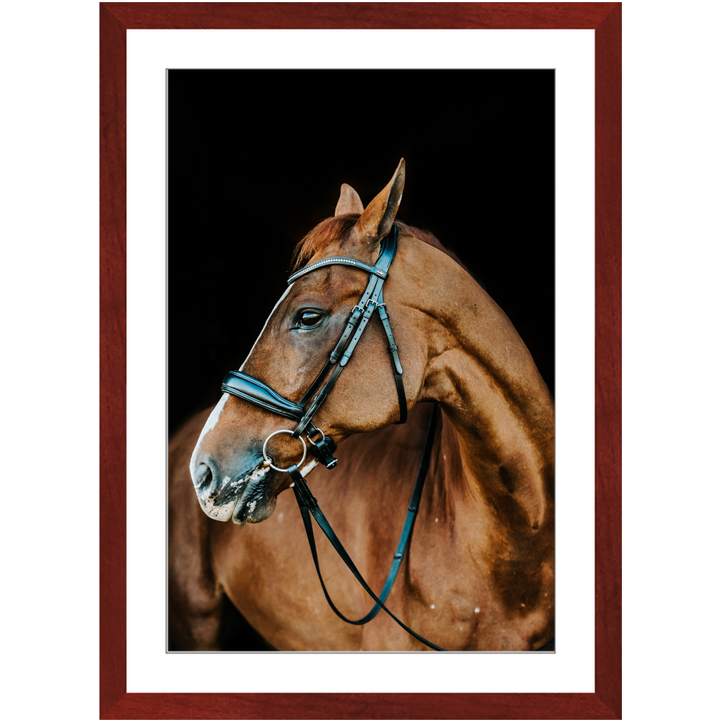 Hudson Series 6, Framed Print
