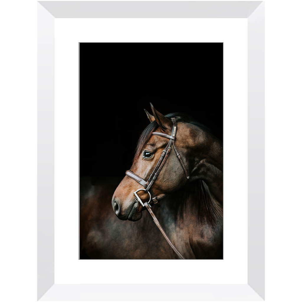 Jovial Series 3, Framed Print