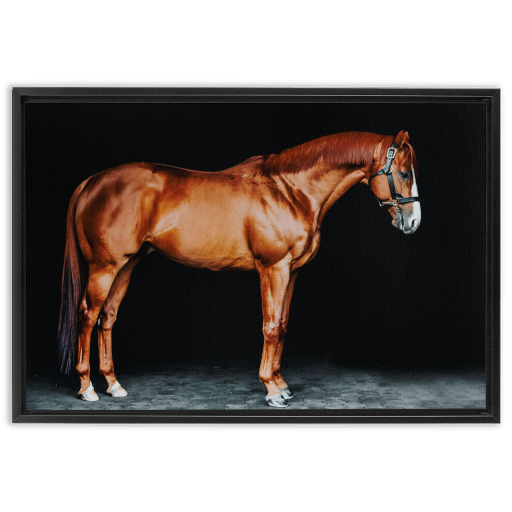 Justify Series 6, Framed Canvas