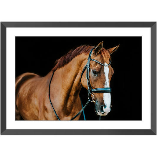 Hudson Series 1, Framed Print