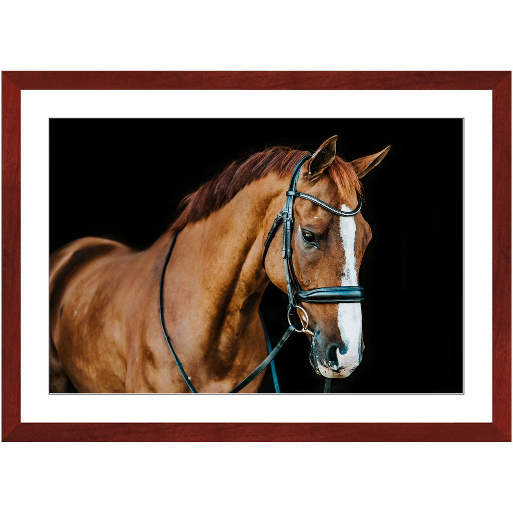 Hudson Series 1, Framed Print
