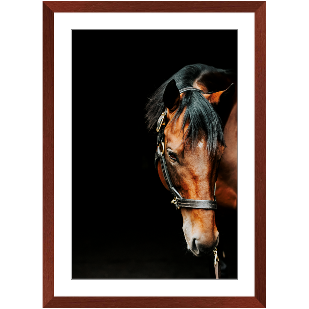 American Pharoah Series 6, Framed Print