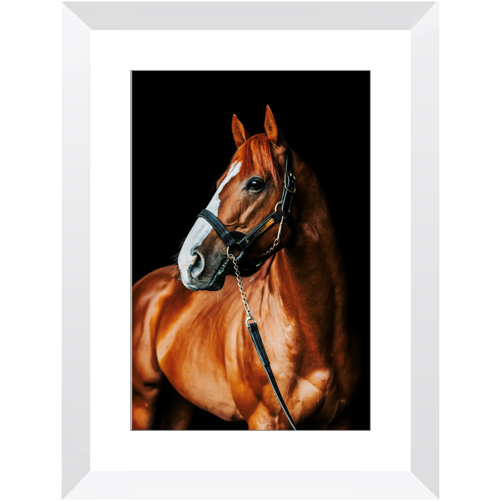 Justify Series 1, Framed Print