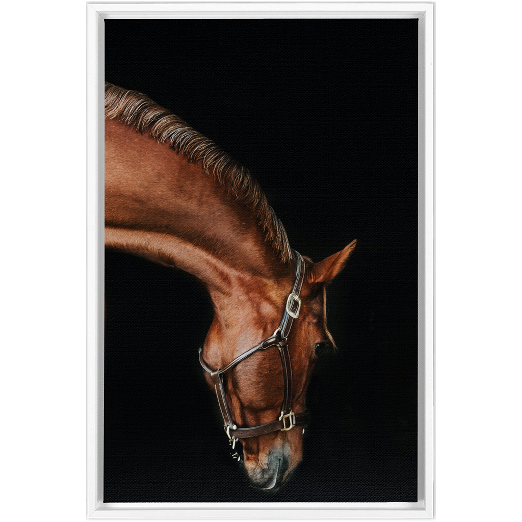 Django Series 6, Framed Canvas