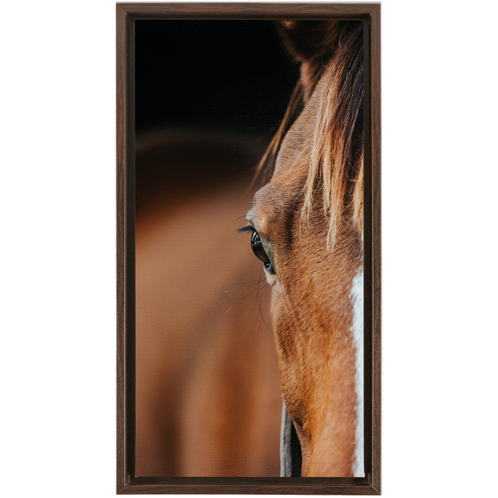 Majestic 1, Framed Canvas