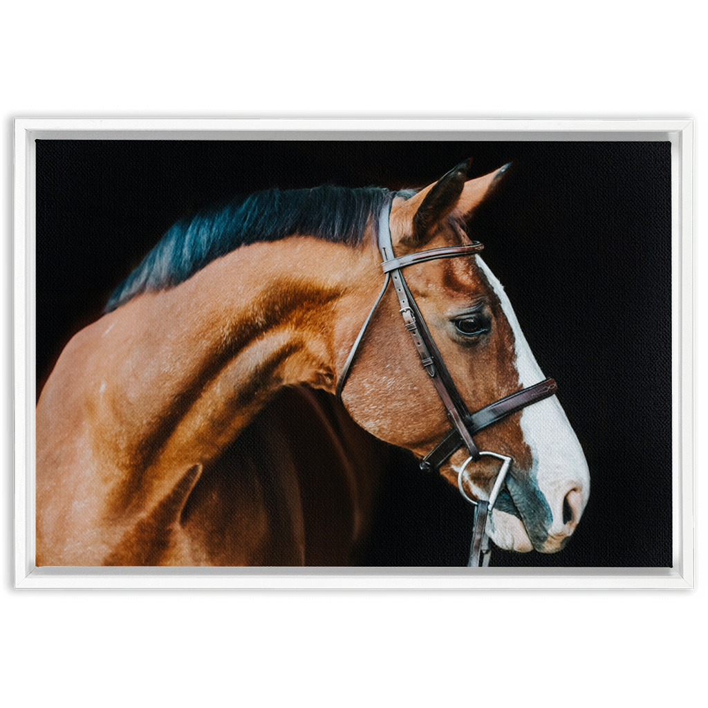 Huntsman Series 3, Framed Canvas