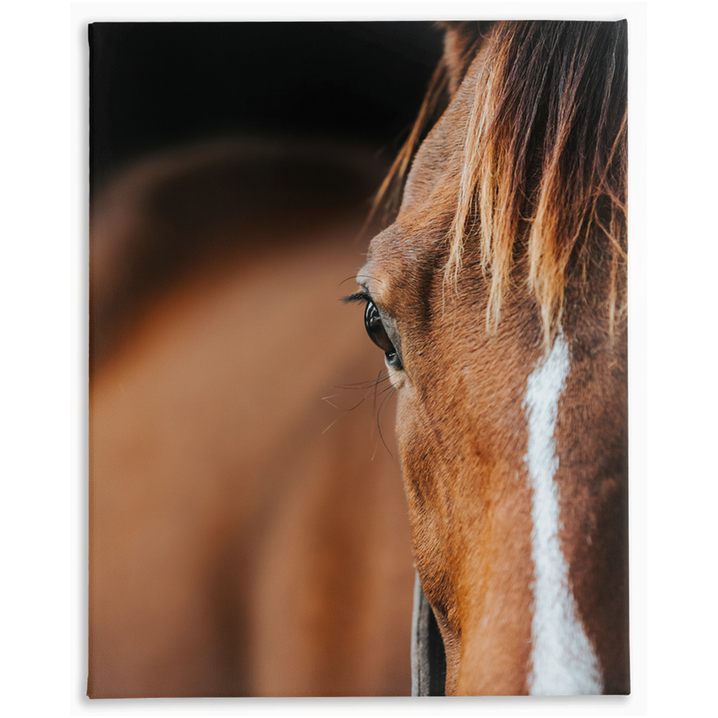 Majestic 1, Stretched Canvas