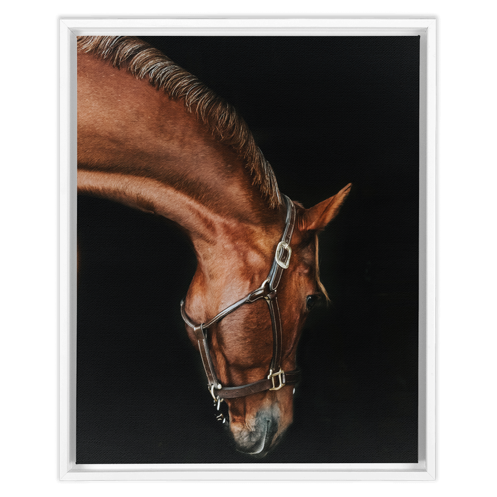 Django Series 6, Framed Canvas
