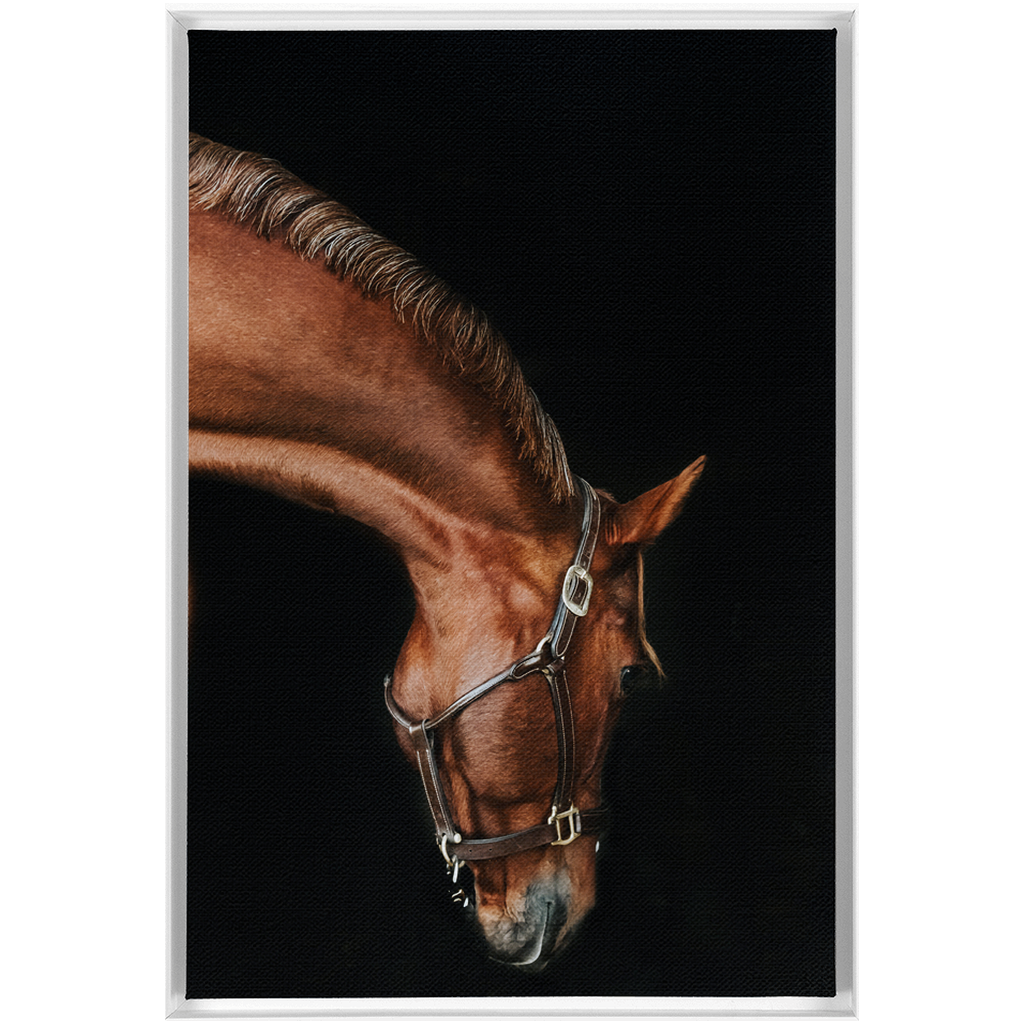 Django Series 6, Framed Canvas