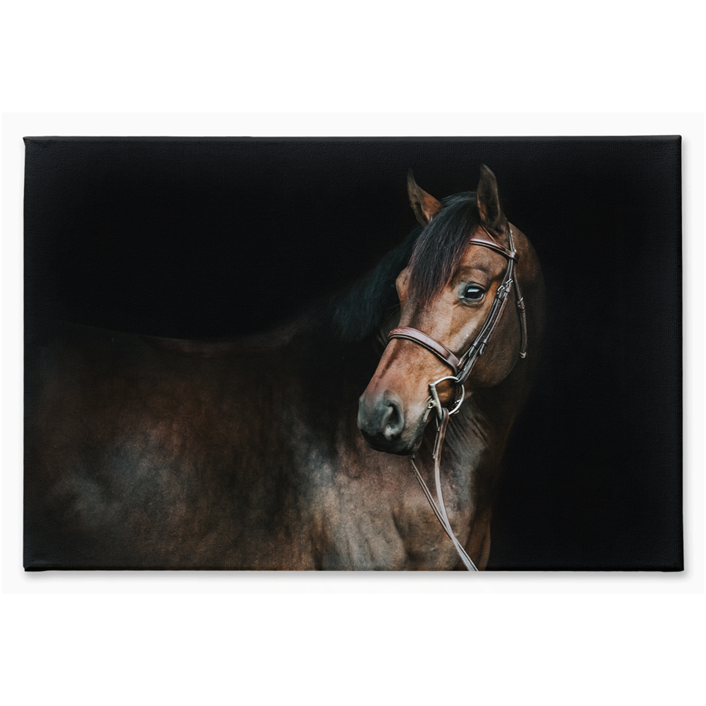 Jovial Series 2, Stretched Canvas