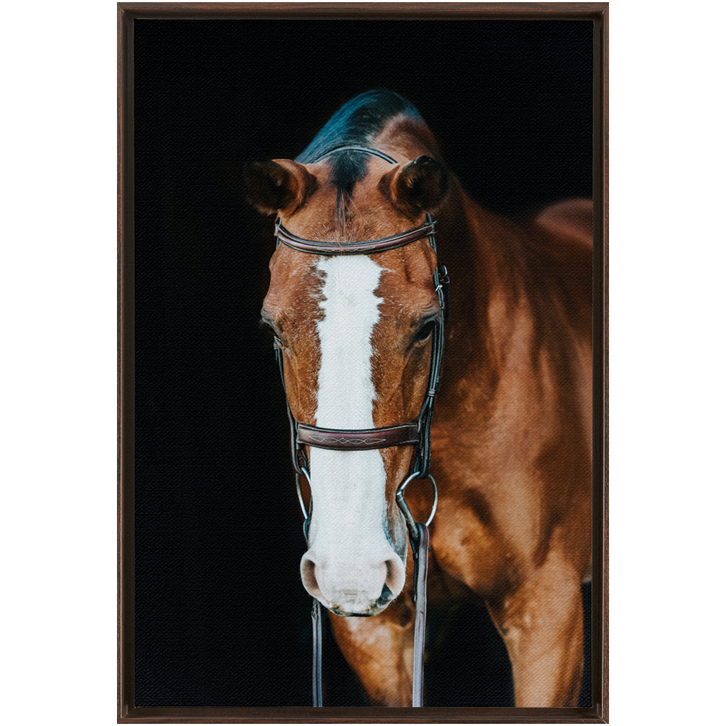 Huntsman Series 6, Framed Canvas