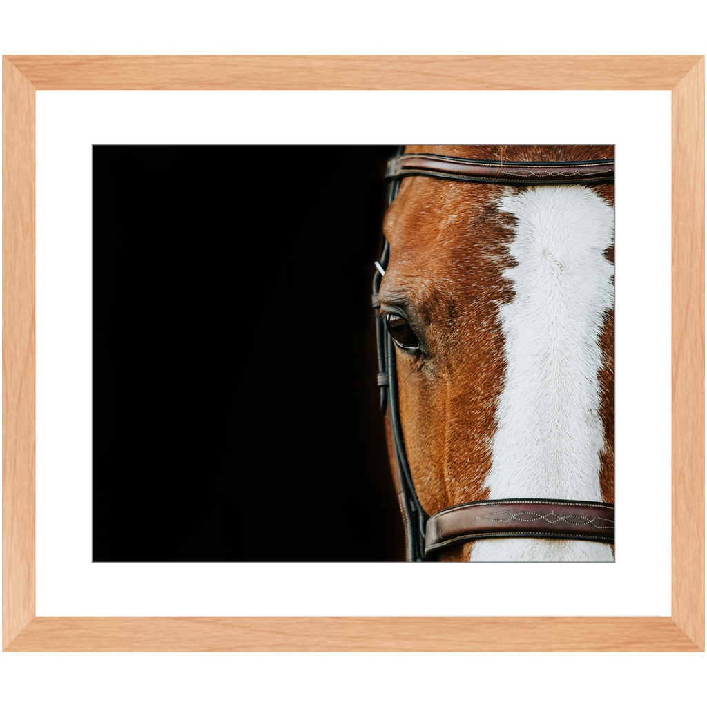 Huntsman Series 5, Framed Print