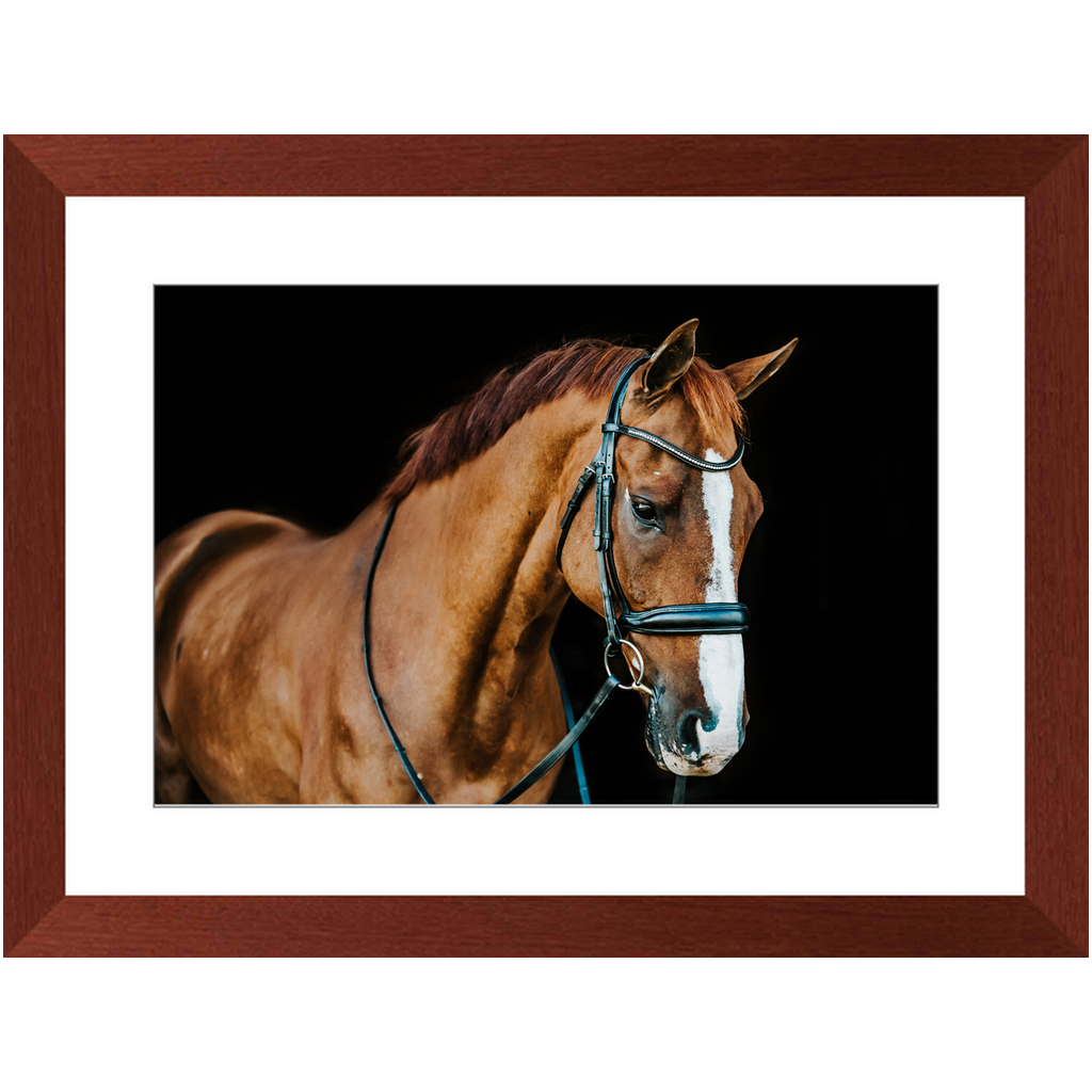 Hudson Series 1, Framed Print