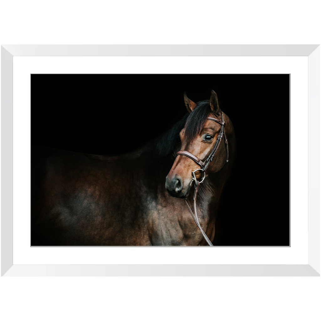Jovial Series 2, Framed Print