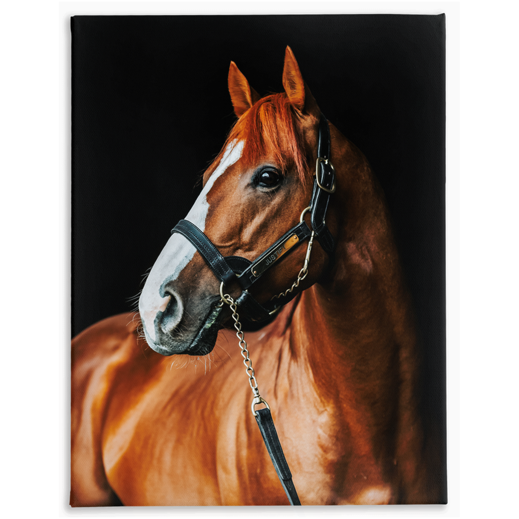 Justify Series 1, Stretched Canvas