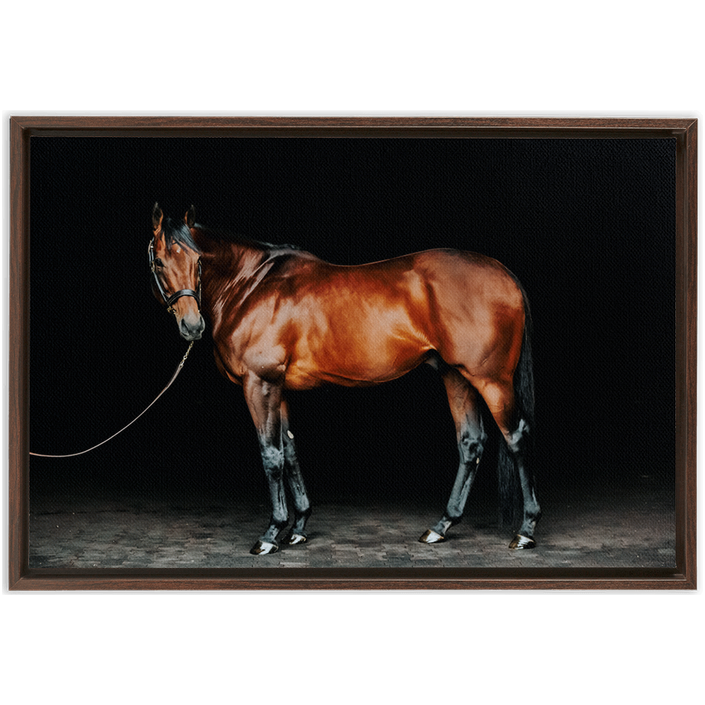 American Pharoah Series 1, Framed Canvas