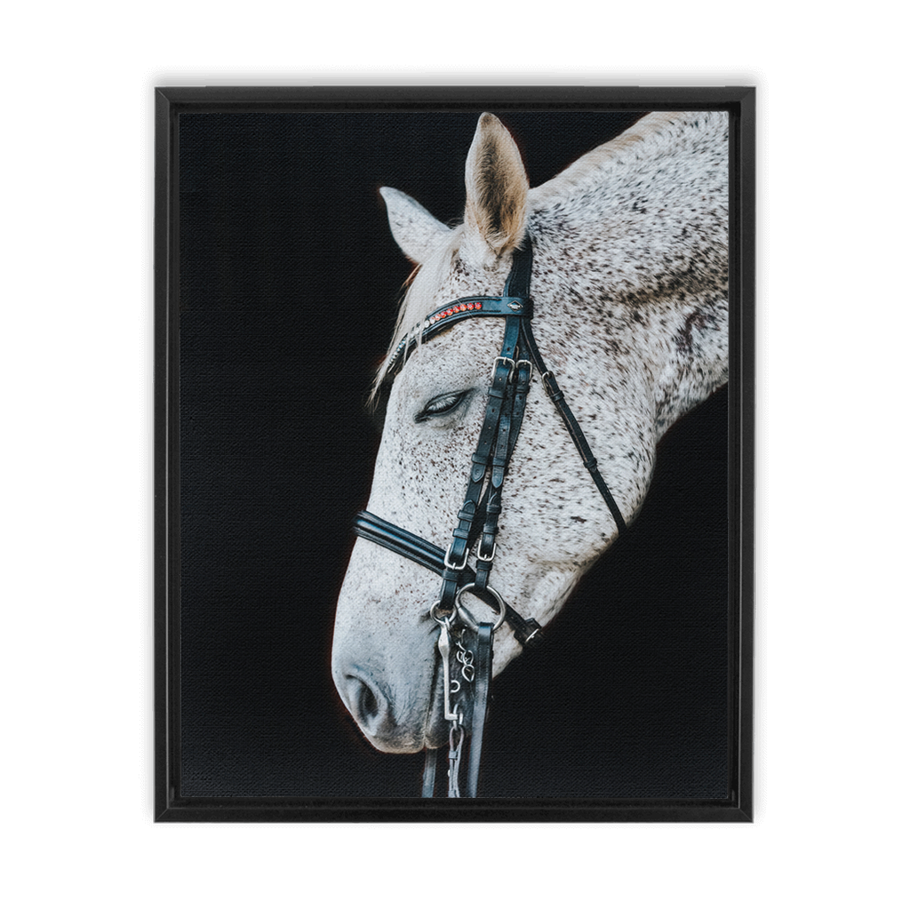 Apollo Series 1, Framed Canvas