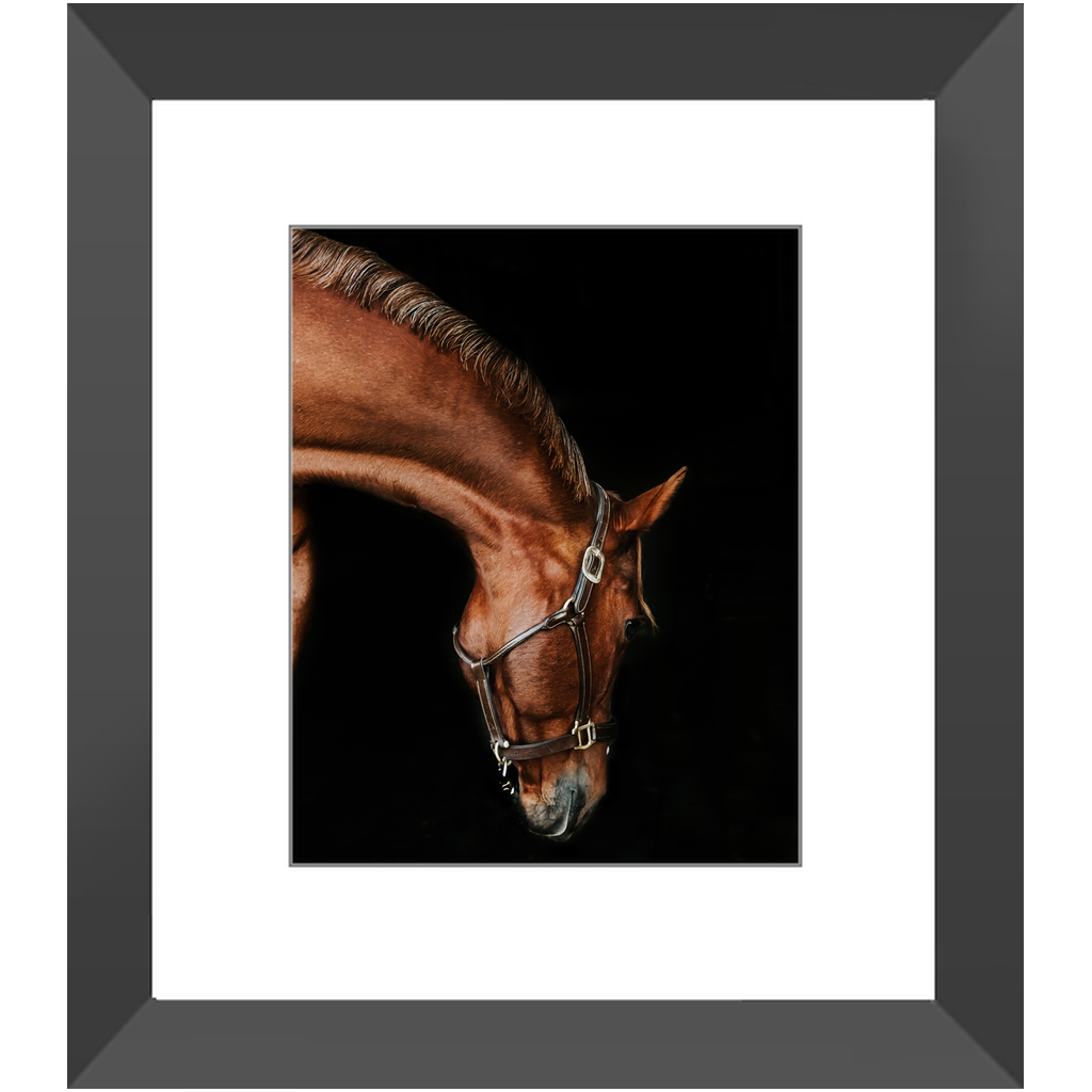 Django Series 6, Framed Print