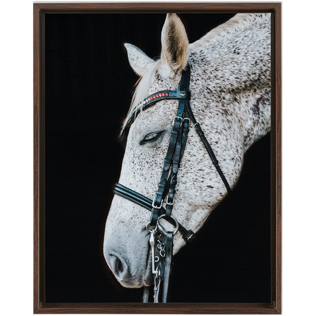Apollo Series 1, Framed Canvas