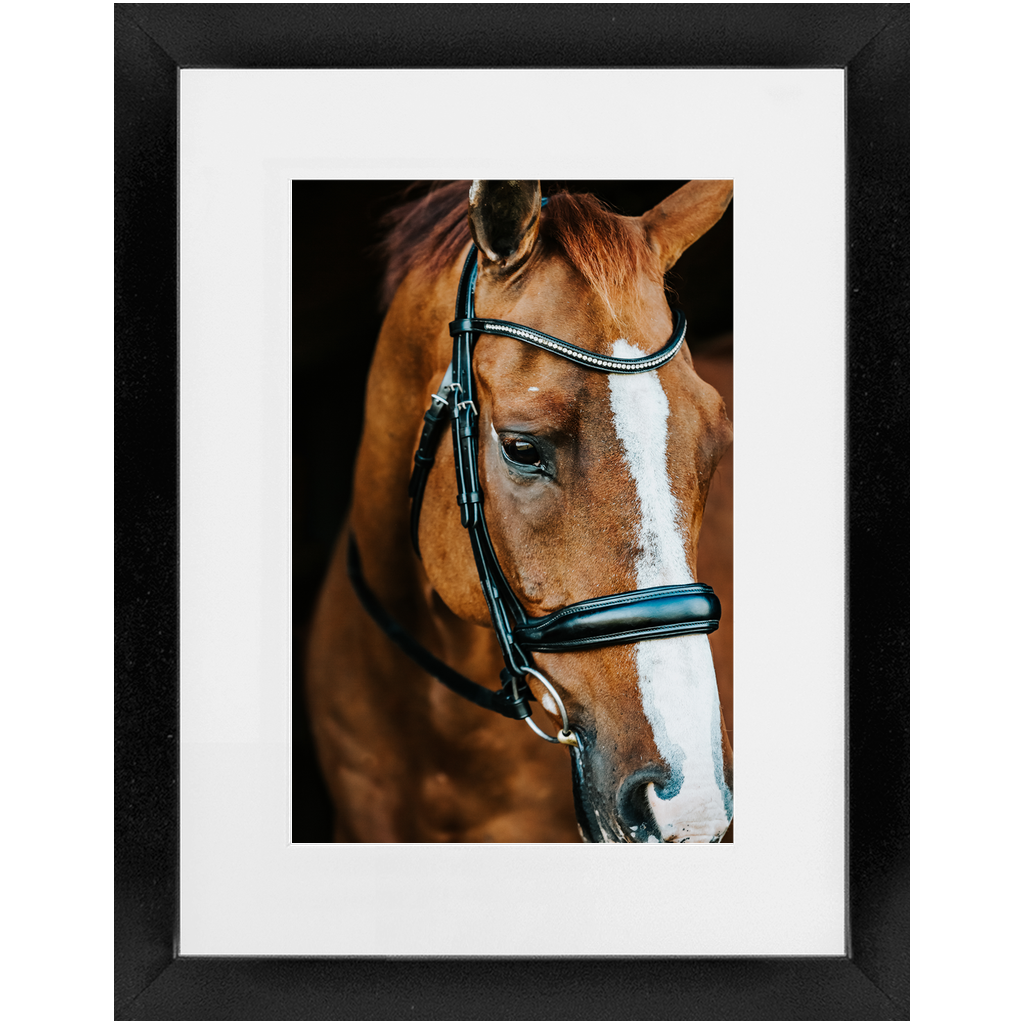 Hudson Series 3, Framed Print