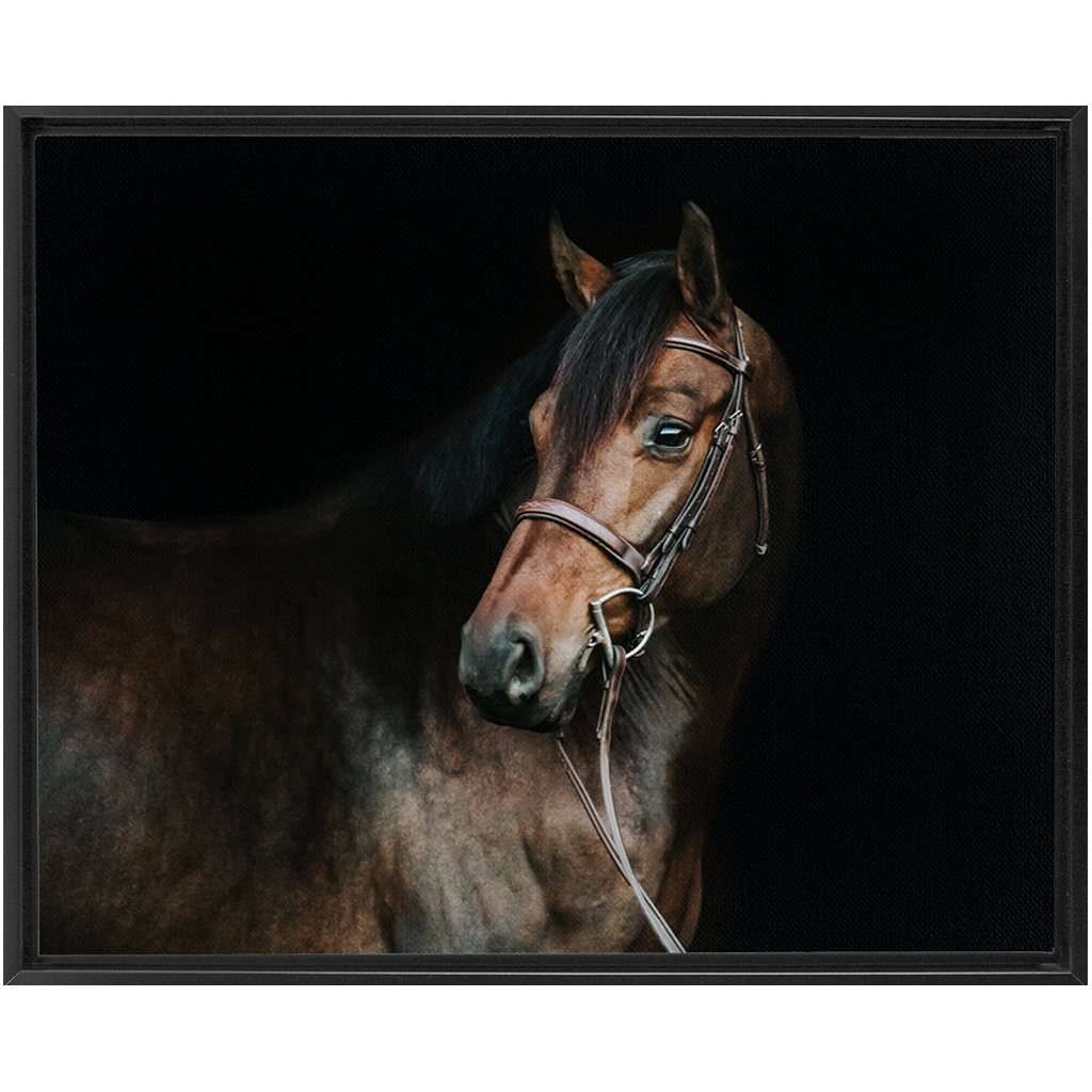 Jovial Series 2, Framed Canvas