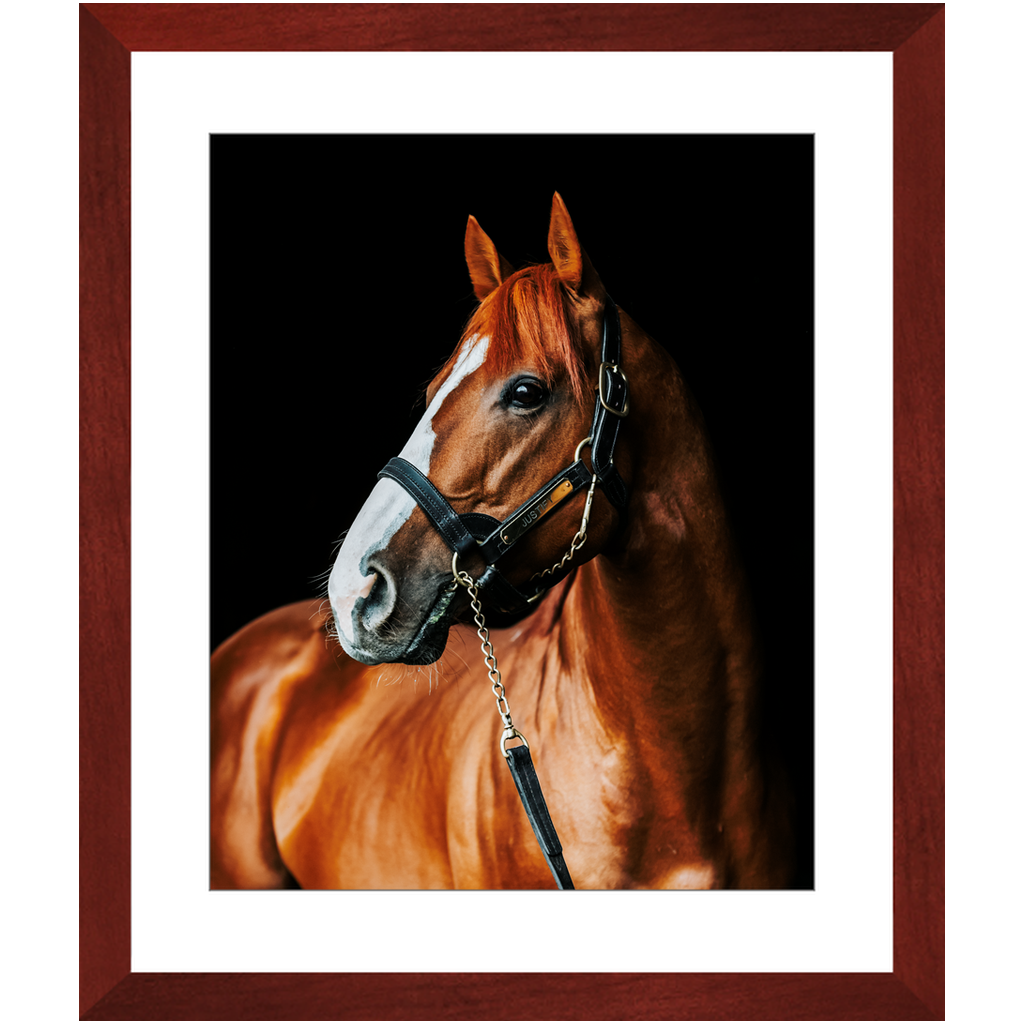 Justify Series 1, Framed Print
