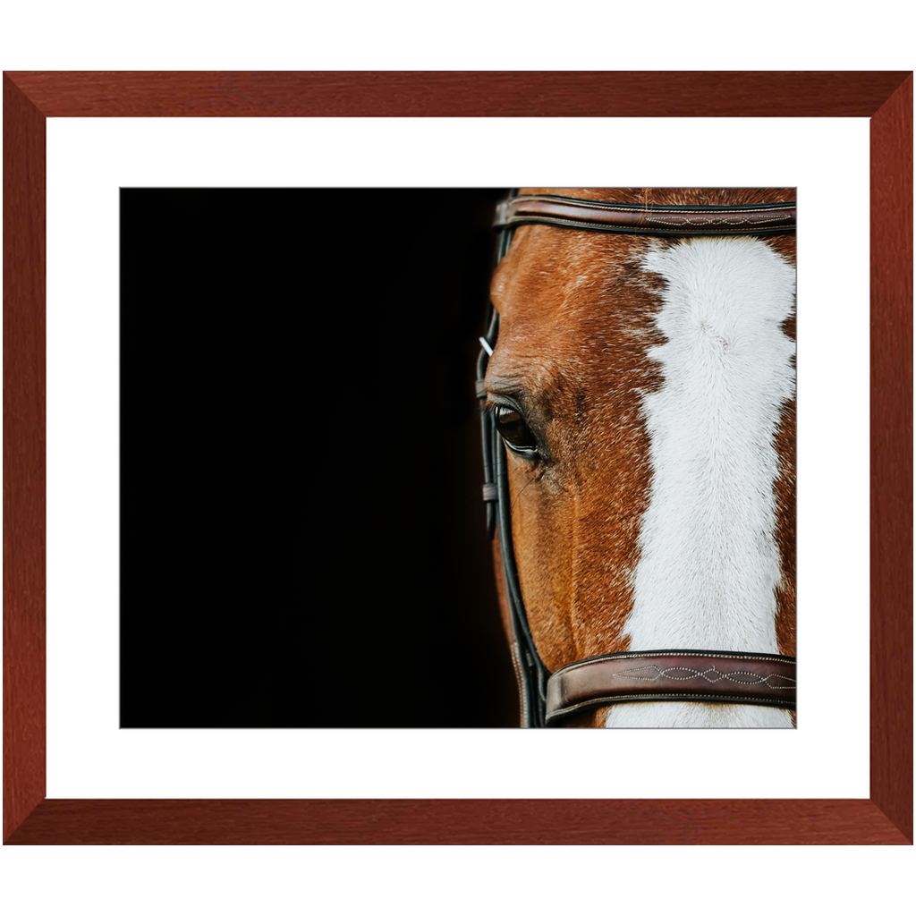 Huntsman Series 5, Framed Print