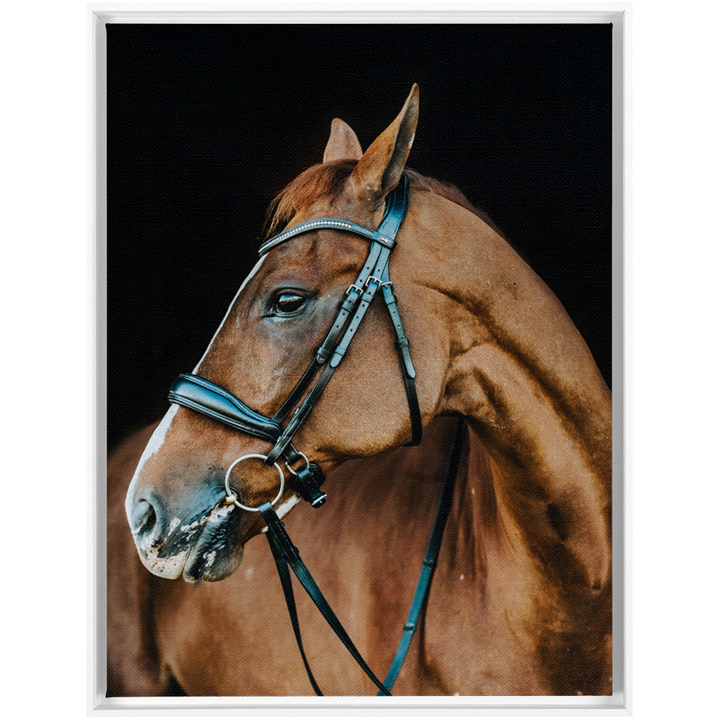 Hudson Series 6, Framed Canvas
