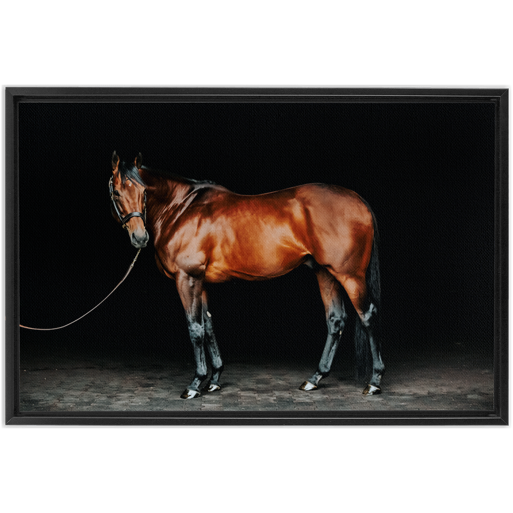 American Pharoah Series 1, Framed Canvas
