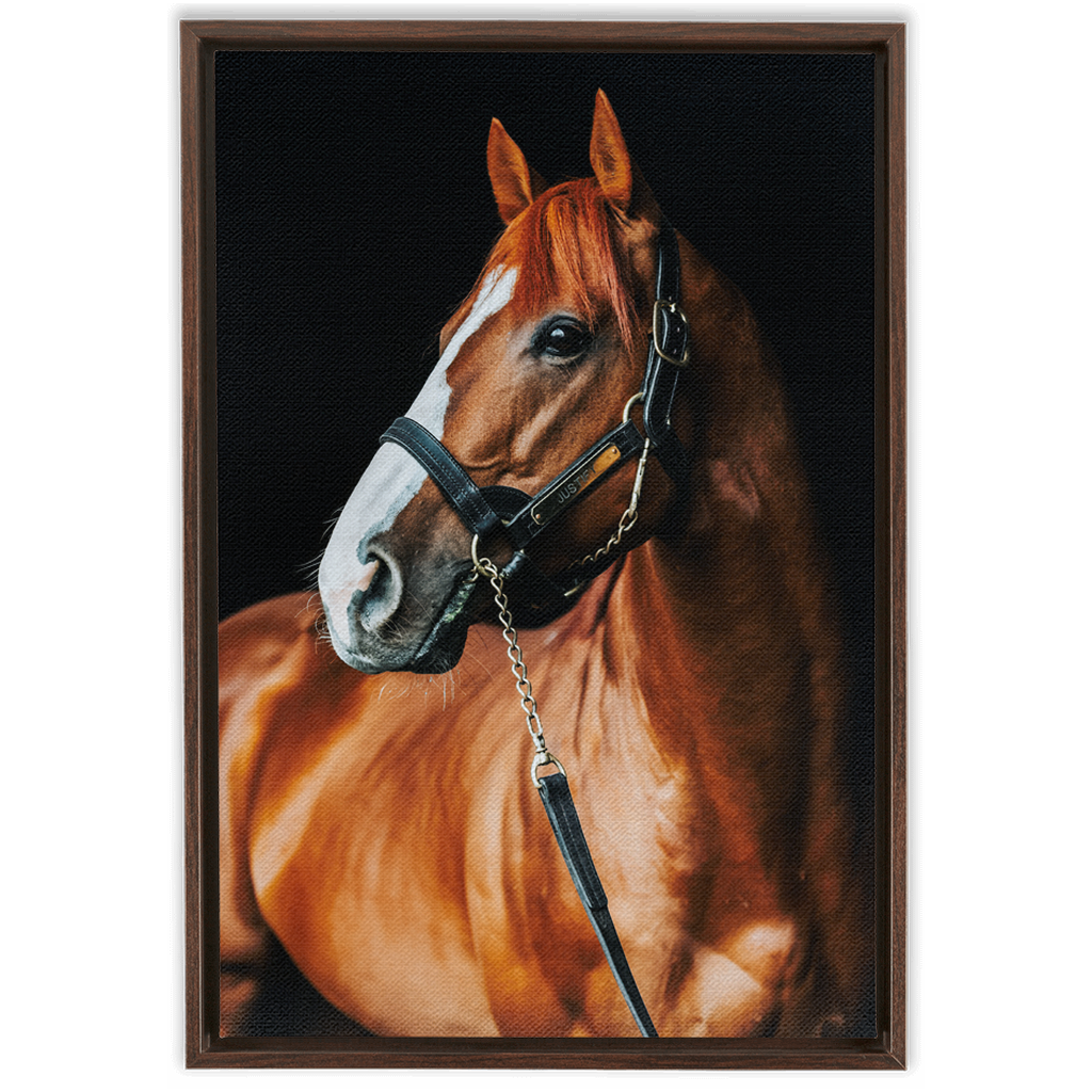 Justify Series 1, Framed Canvas